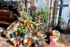 Harvest-Display-2